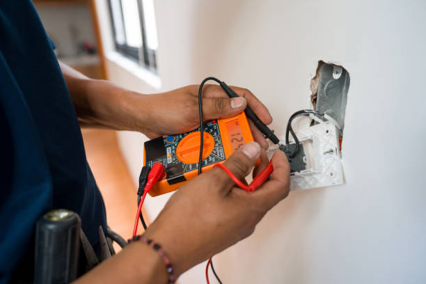 Best Local Electrician Companies  in Lake Panasoffkee, FL