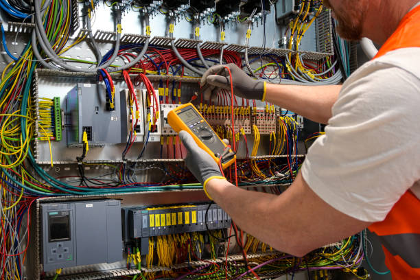 Best Licensed Electrician  in Lake Panasoffkee, FL